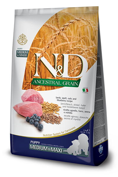 N & D Ancestral Grain Puppy Med/Maxi Lamb & Blueberry