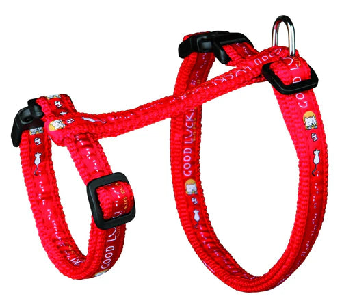 41893 XL Cat harness with leash