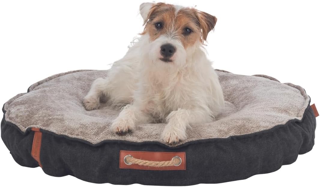 Be Nordic 2.0 Fohr Cuddly Place