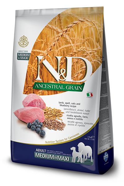 N & D Ancestral Grain Adult Med/Maxi Lamb & Blueberry