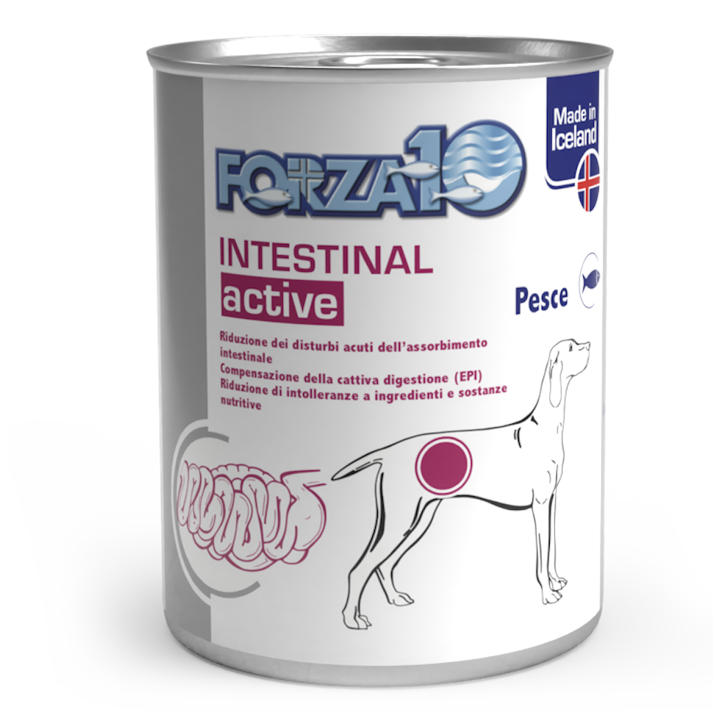 Forza 10 Intestinal tins, 390g