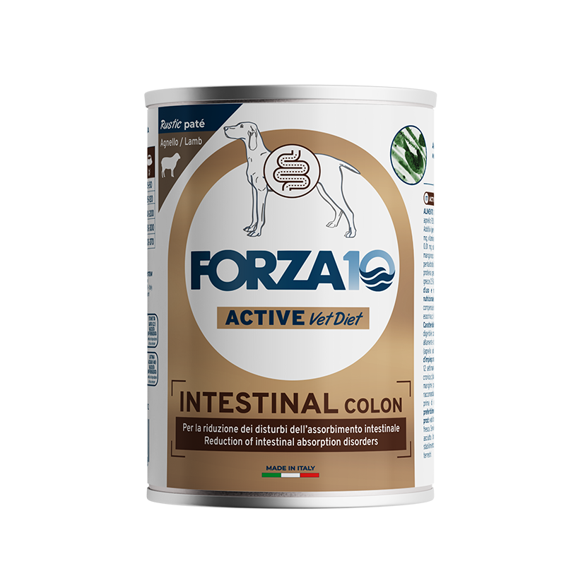 Forza 10 intestinal colon tin, Lamb, 390g
