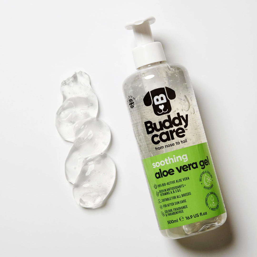 Buddy Care Aloe Vera Gel 500ml