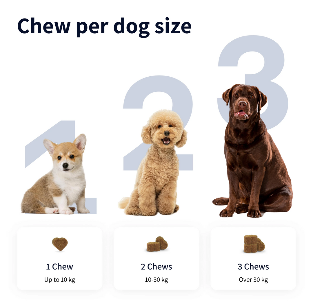 TIPAW 8-in-1 Multivitamins Supplement for Dogs
