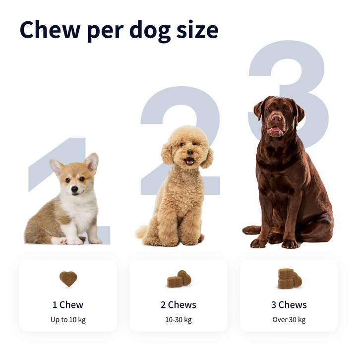 TIPAW 8-in-1 Multivitamins Supplement for Dogs