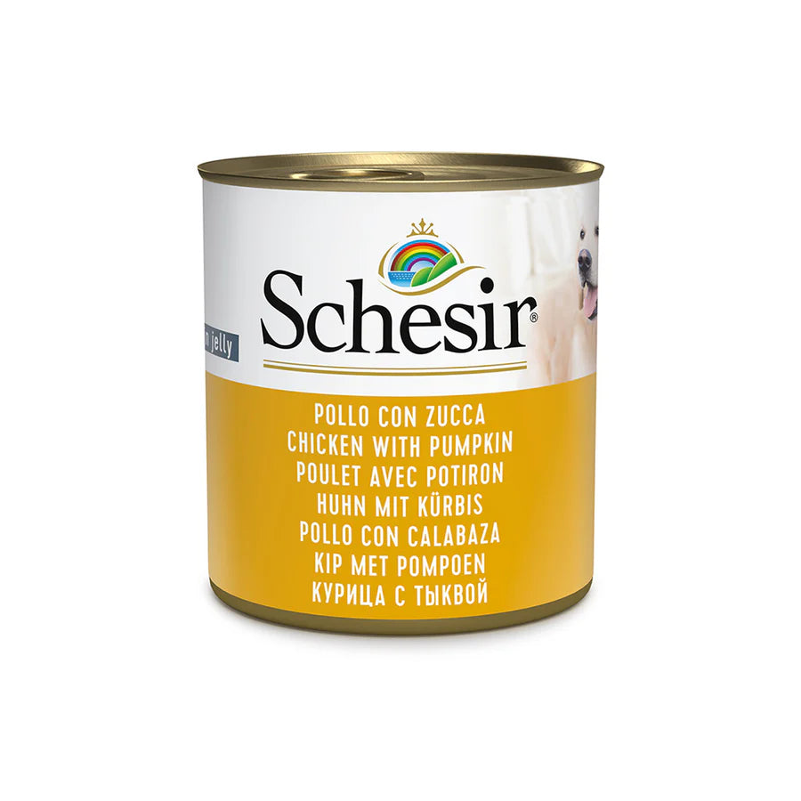 Schesir Dog tin 285g - Chicken &amp; Pumpkin