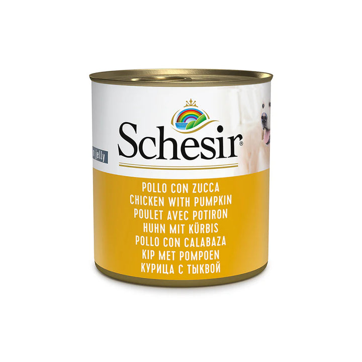 Schesir Dog tin 285g - Chicken &amp; Pumpkin