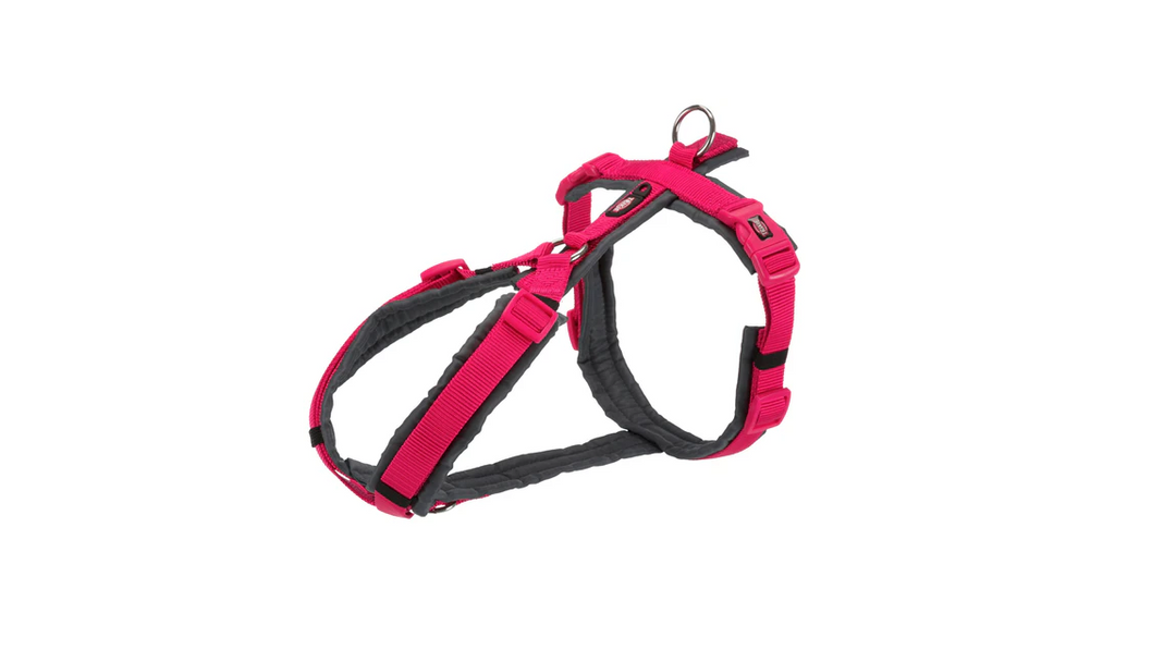 Premium trekking harness, fuchsia/graphite