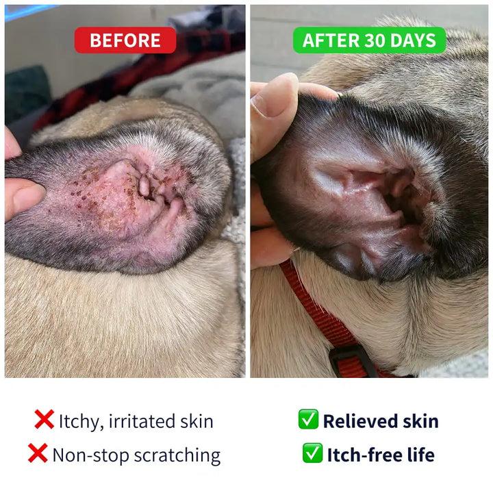 TIPAW Allergy & Itch Supplement for Dogs