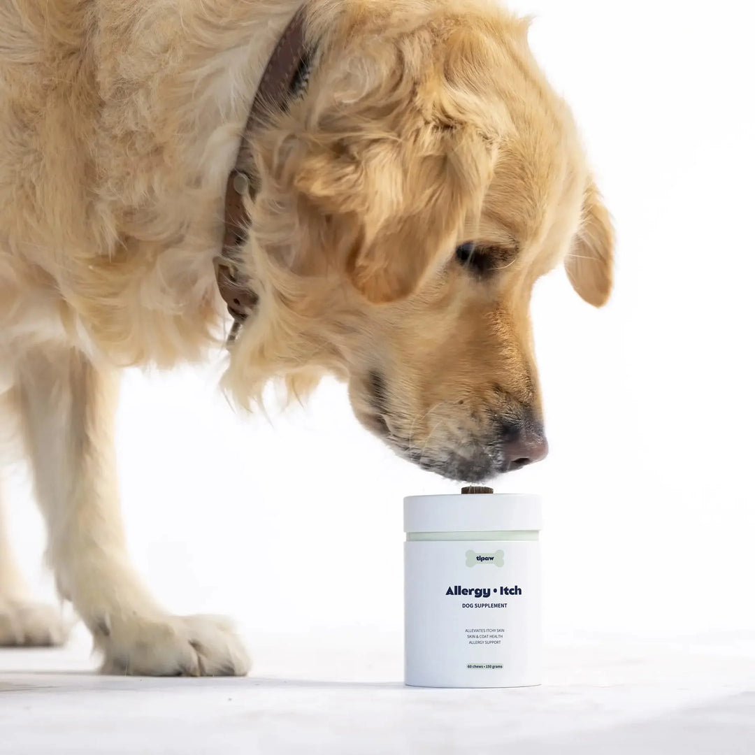 TIPAW Allergy & Itch Supplement for Dogs