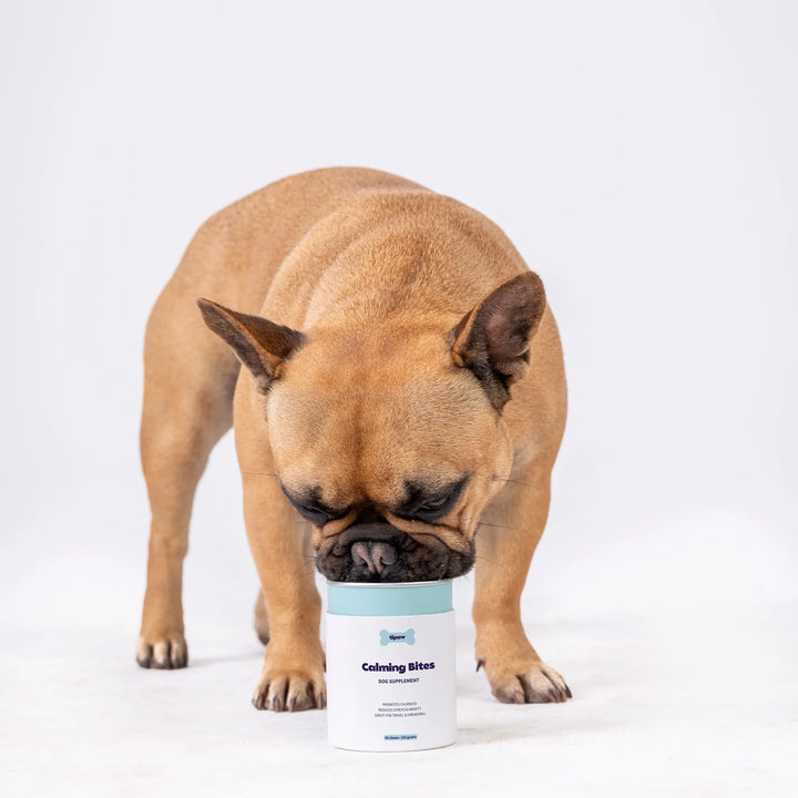 TIPAW Calming Supplement for Dogs