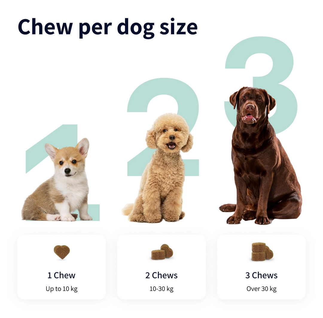 TIPAW Calming Supplement for Dogs