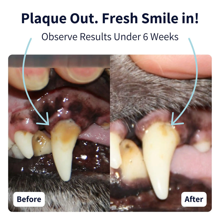 TIPAW Dental Care Supplements for Dogs