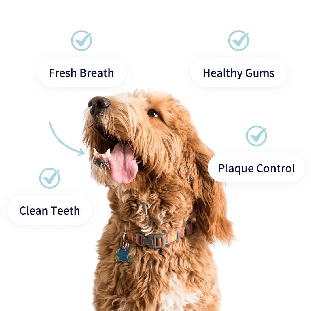 TIPAW Dental Care Supplements for Dogs