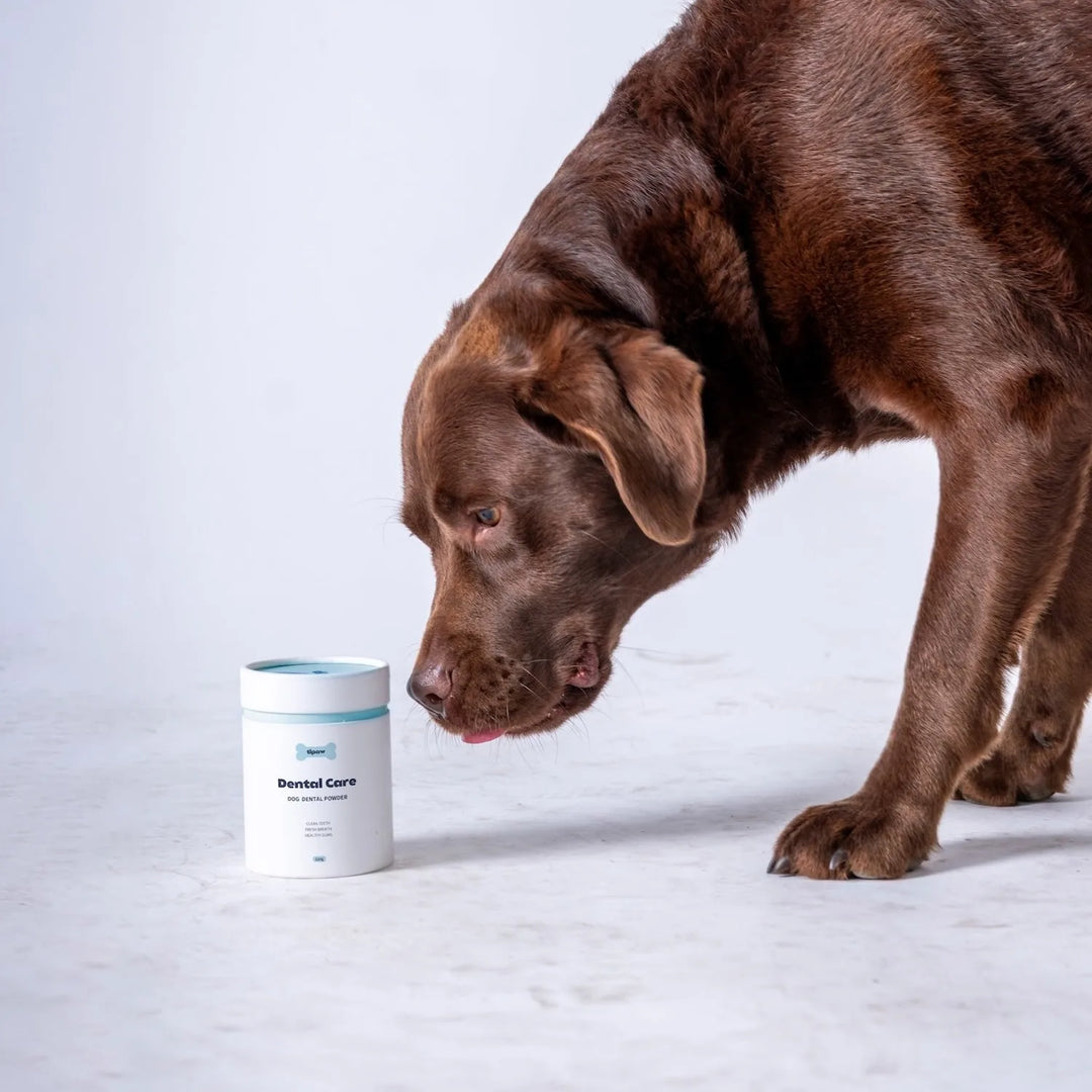 TIPAW Dental Care Supplements for Dogs