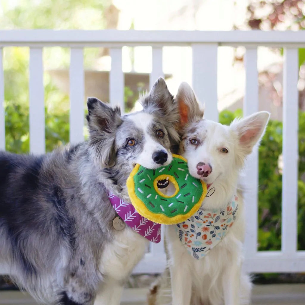 Zippy Paws - Donutz Buddies - Mint Chip
