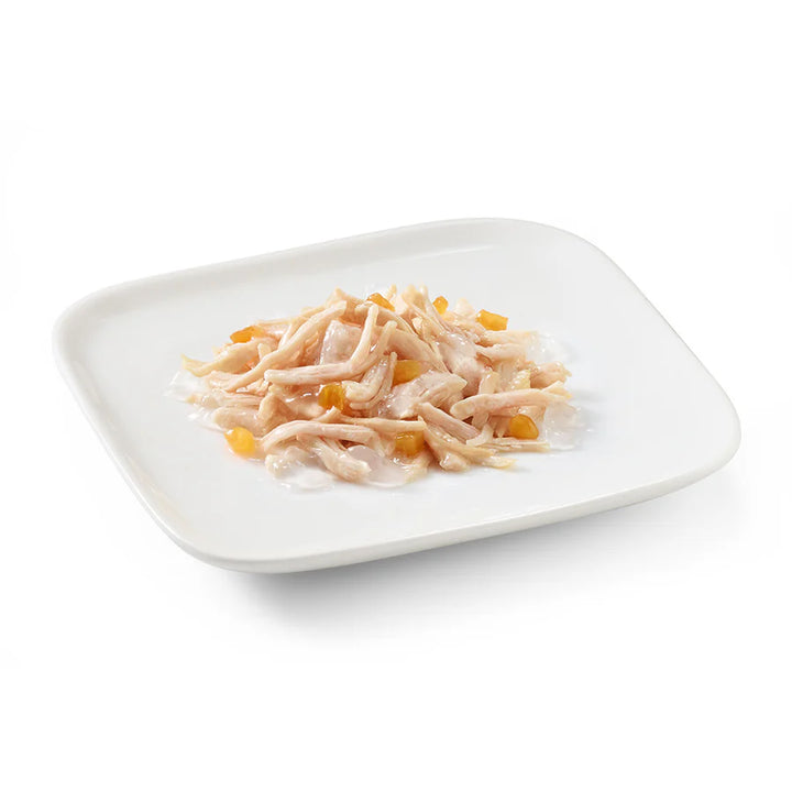 Schesir Dog tin 150g - Chicken with Papaya