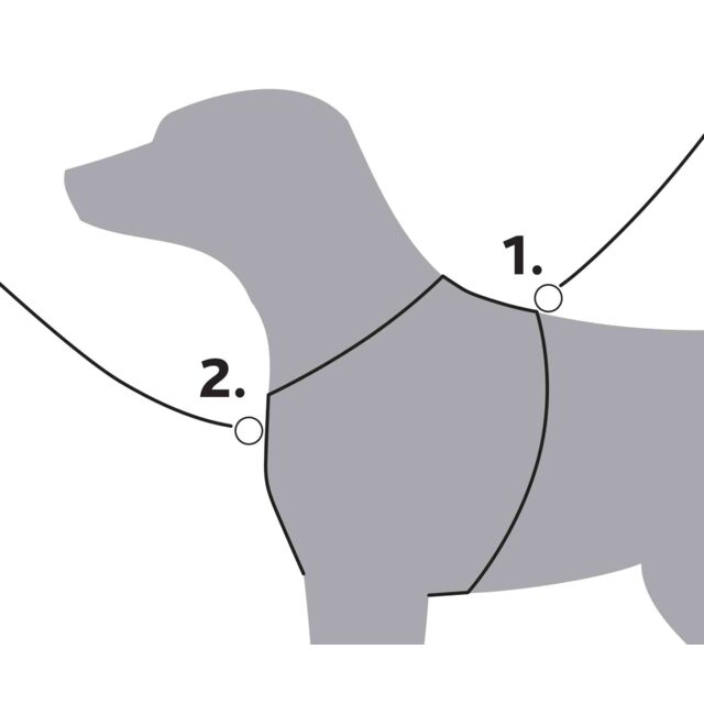 Premium trekking harness, sage/graphite