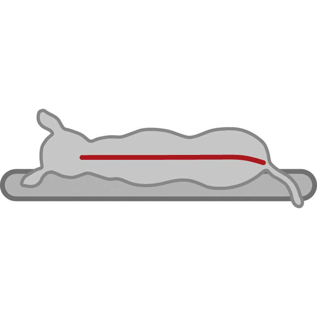 Best Of All Breeds Bed