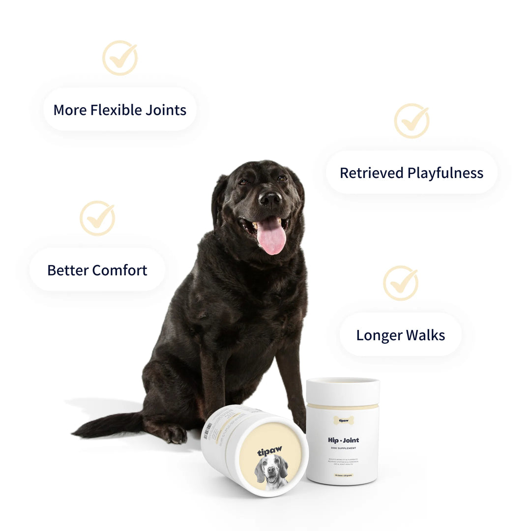 TIPAW Hip & Joint Supplement for Dogs