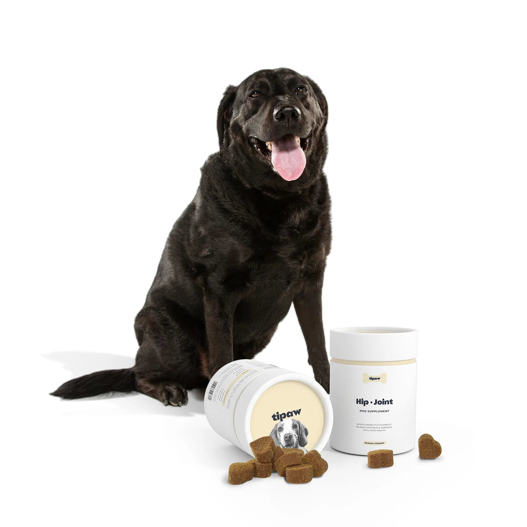 TIPAW Hip & Joint Supplement for Dogs