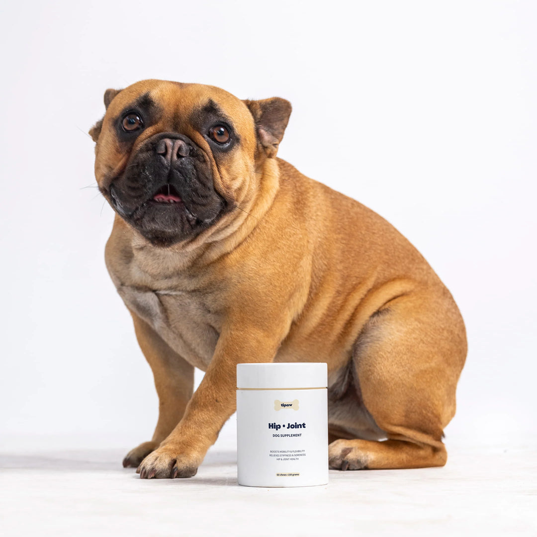 TIPAW Hip & Joint Supplement for Dogs