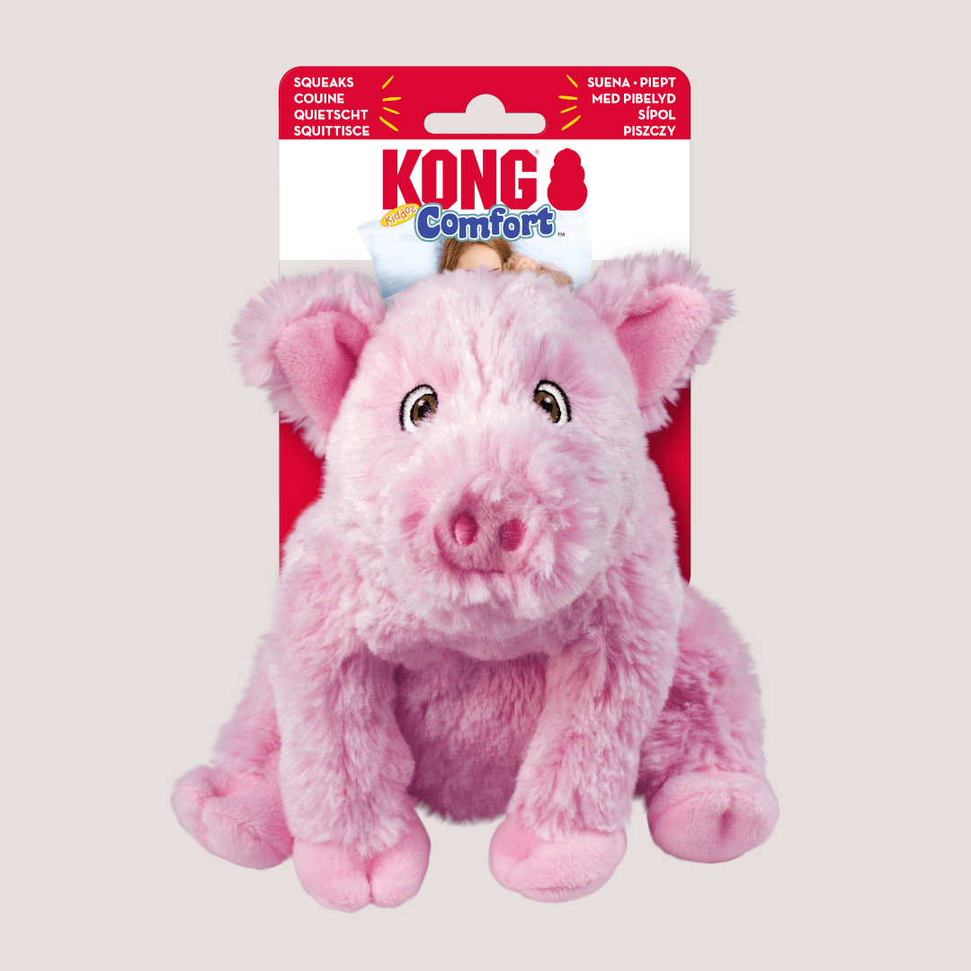 Kong Comfort Kiddos