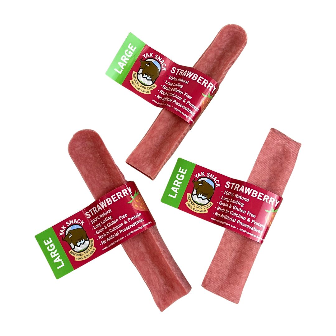 Nova Dog chews Yak Snack