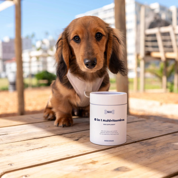 TIPAW 8-in-1 Multivitamins Supplement for Dogs