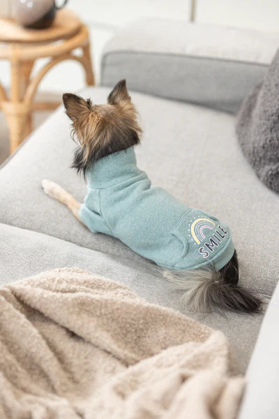 Littleton sweatshirt, mint