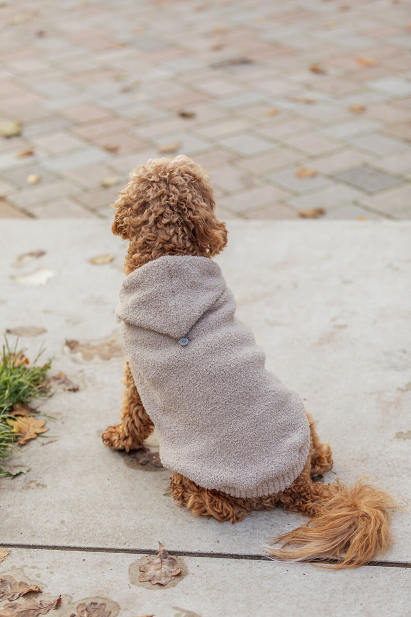 Carson hoodie, sand