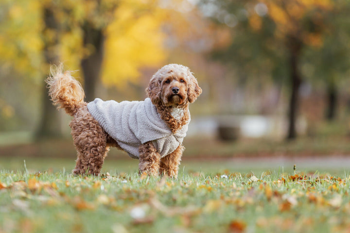 Carson hoodie, sand