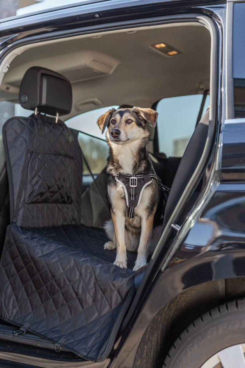 13232 Car Seat Cover, 1.64 x 1.61 m, black