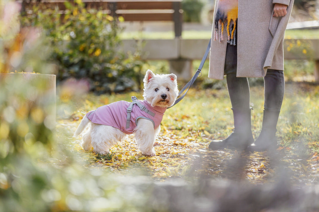 Pontis Rain coat with harness, pink