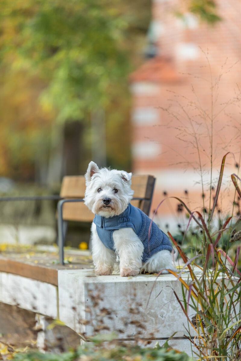 Ajou coat, blue