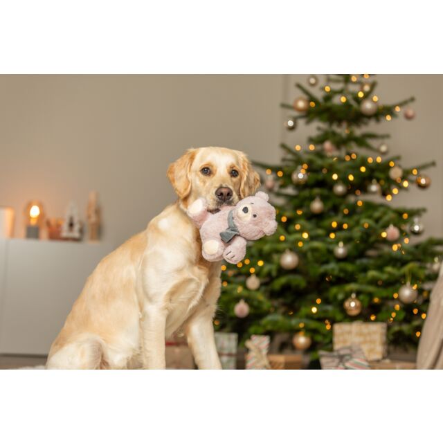 92002 - Xmas Teddy Plush 19cm