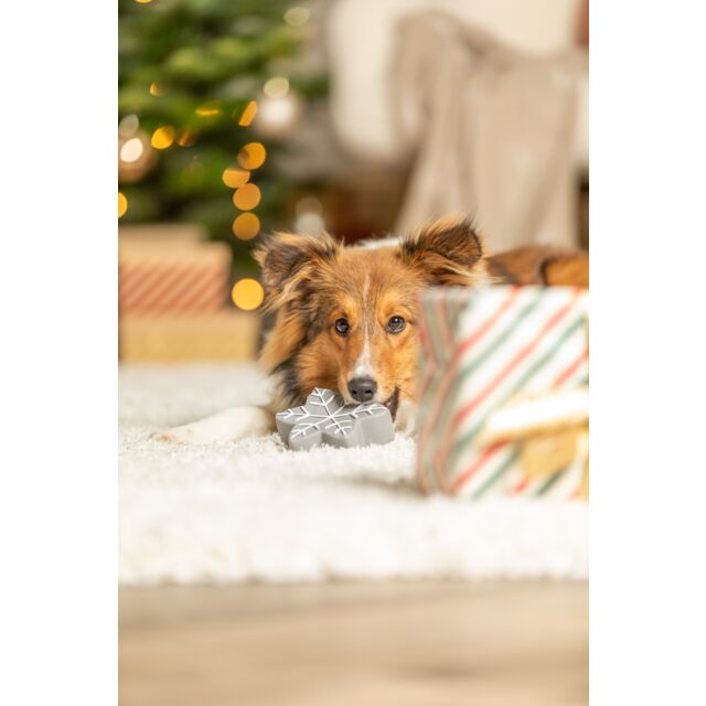 92013 - Xmas Star, Latex 10cm