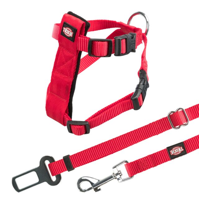 Car harness for cats, 20-50 cm/15 mm, red