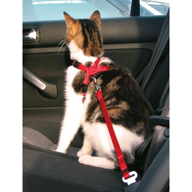 Car harness for cats, 20-50 cm/15 mm, red