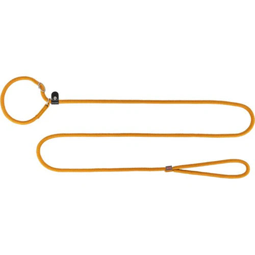 Summit retriever lead,  curry