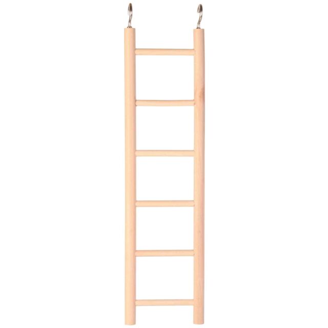 5815 - Ladder