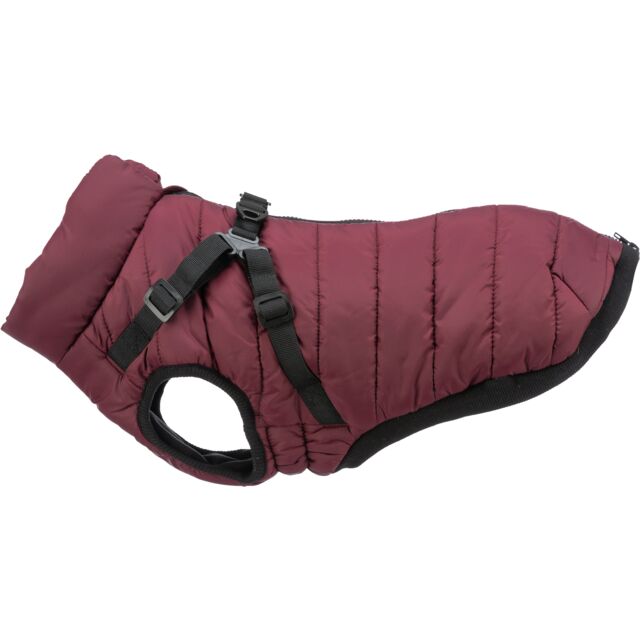 Pirou winter harness coat,  sangria