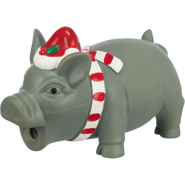 Christmas Pig