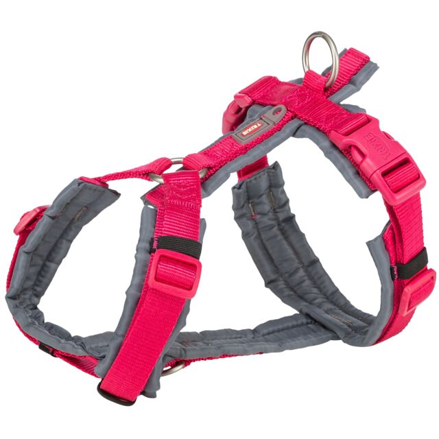 Premium trekking harness, fuchsia/graphite