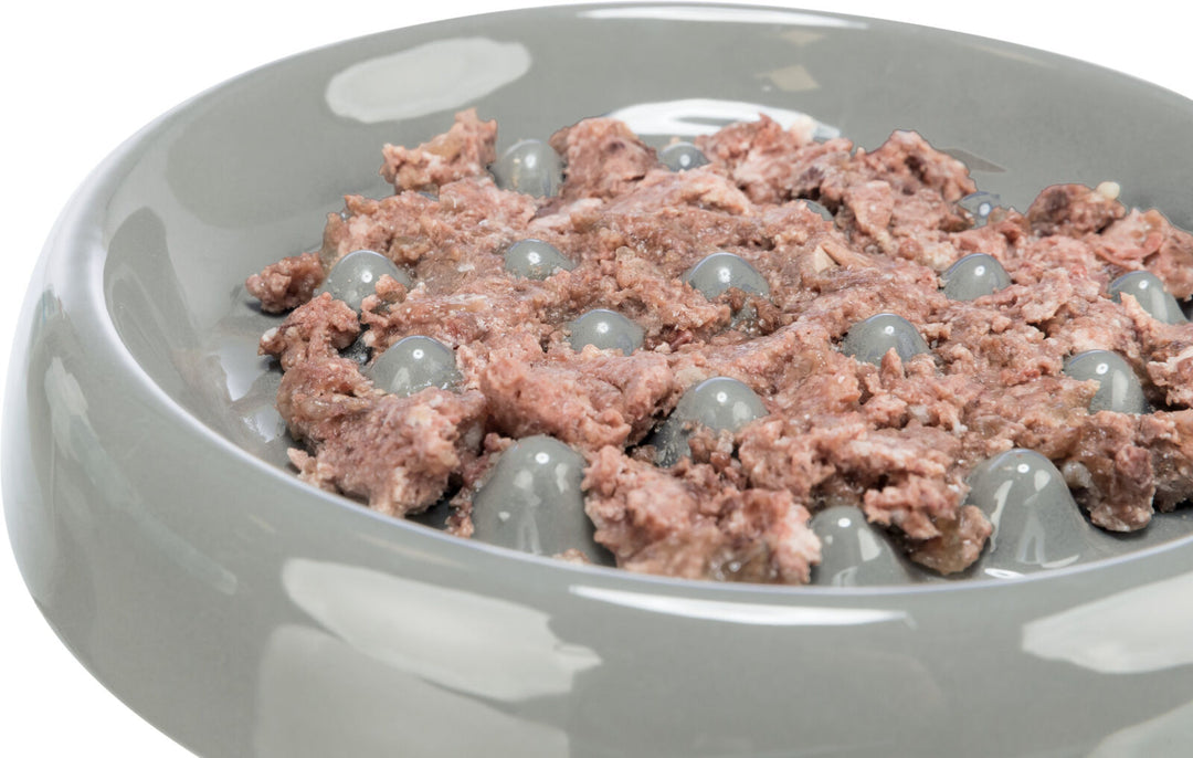 Ceramic Slow Feeding Bowl for cats