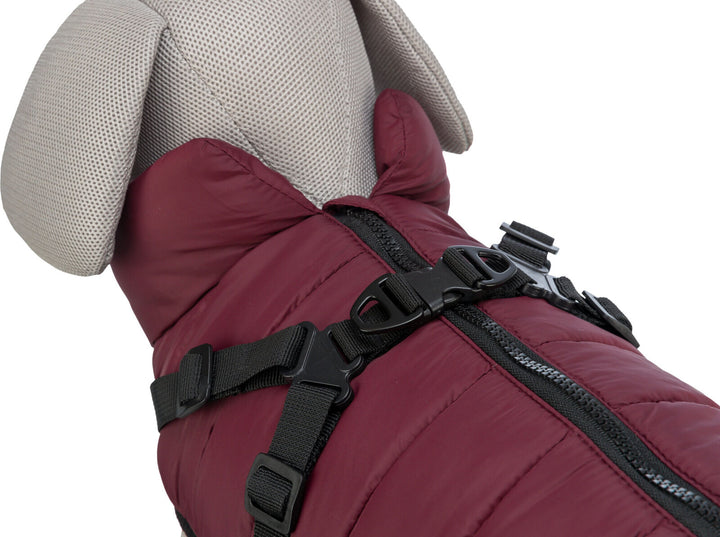 Pirou winter harness coat,  sangria