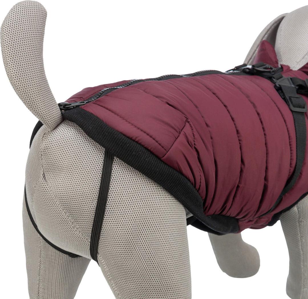 Pirou winter harness coat,  sangria
