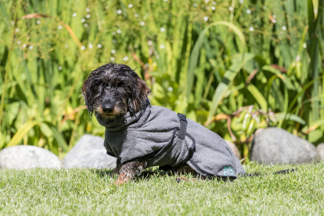 Bathrobe for dogs, terry cloth, grey
