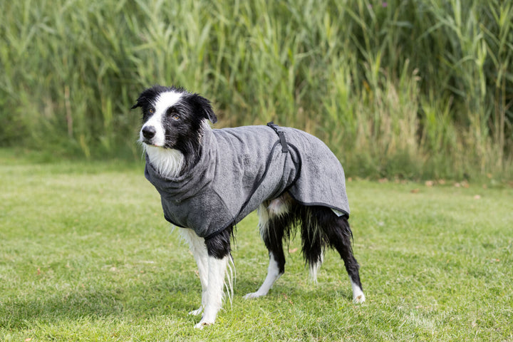 Bathrobe for dogs, terry cloth, grey
