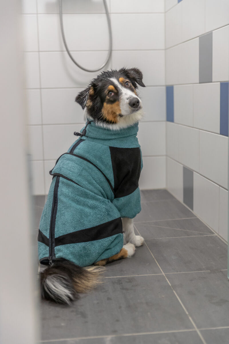 Bathrobe for dogs, terry cloth, petrol